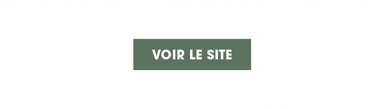 VOIR LE SITE