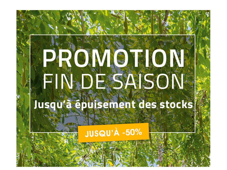 PROMOTION FIN DE SAISON