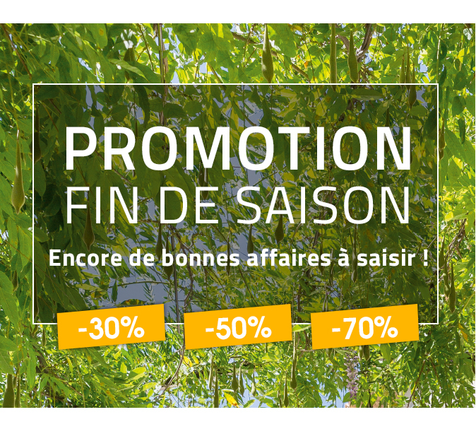 PROMOTION FIN DE SAISON