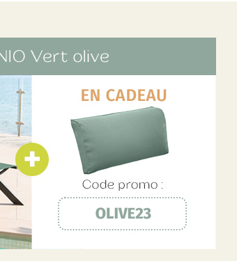 Transat Milenio Vert olive & Graphite